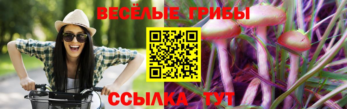 Елизово  Псилоцибиновые грибы Psilocybine cubensis  Вход с VPN  Галлюциногенные грибы Psilocybe 